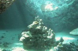 20000627_Shaab_Samadai_0013